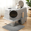 PET-CLB-STL-CV-LTGR-202602121404-09.jpg