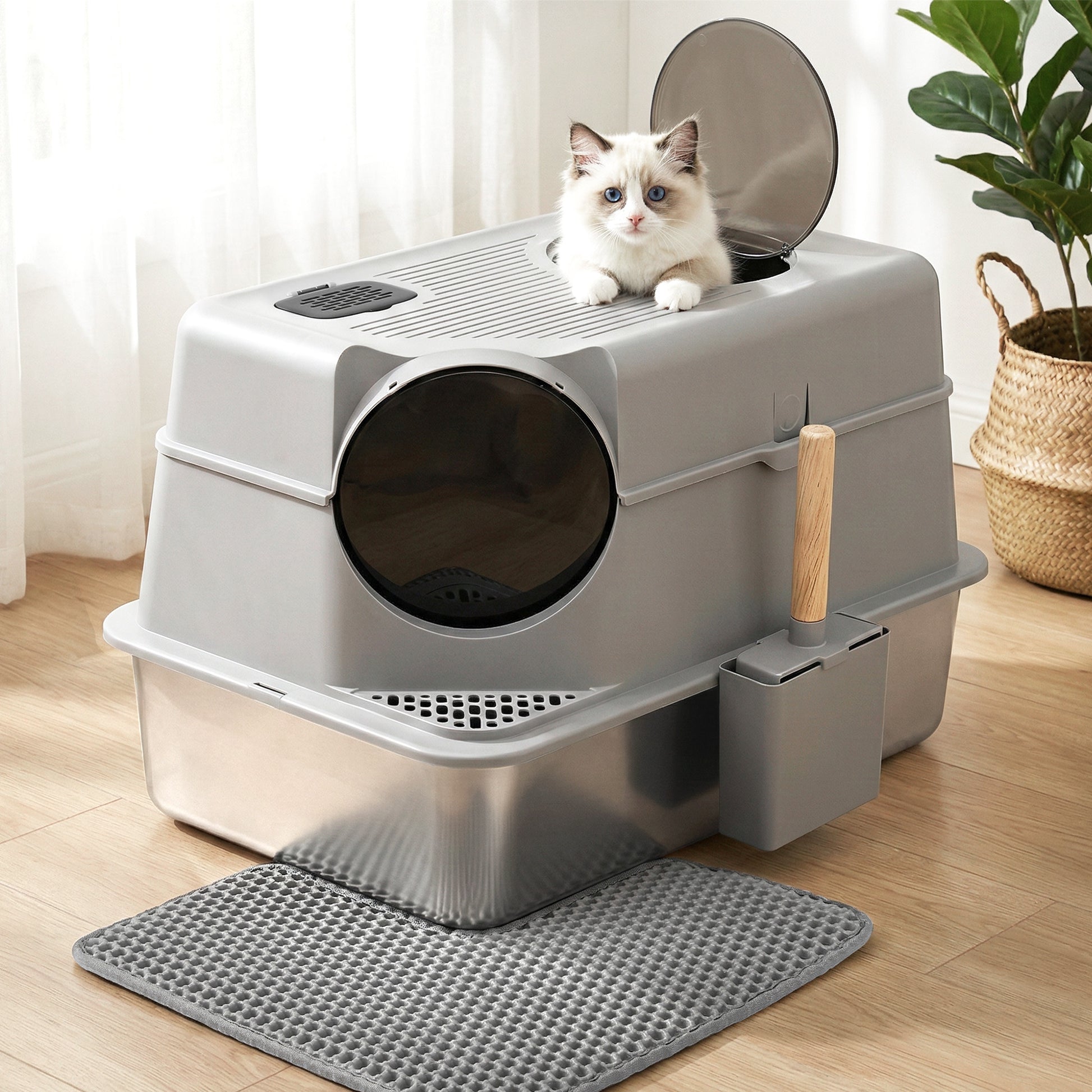 PET-CLB-STL-CV-LTGR-202602121404-09.jpg