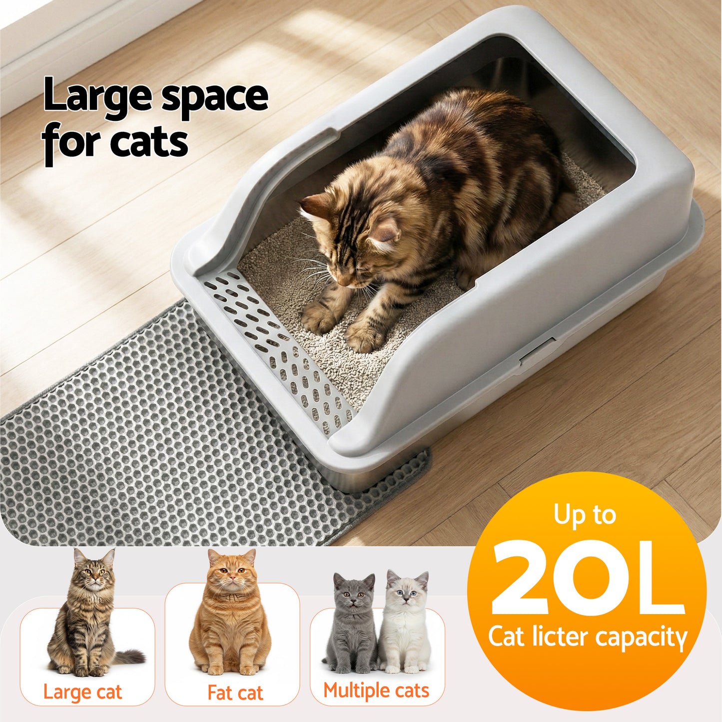 PET-CLB-STL-LTGR-202602121404-05.jpg