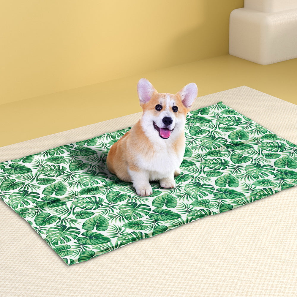 PET-COOL-110-GN-174935-06.jpg
