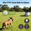PET-DOG-6BALL-22M-GR-202603181836-05.jpg