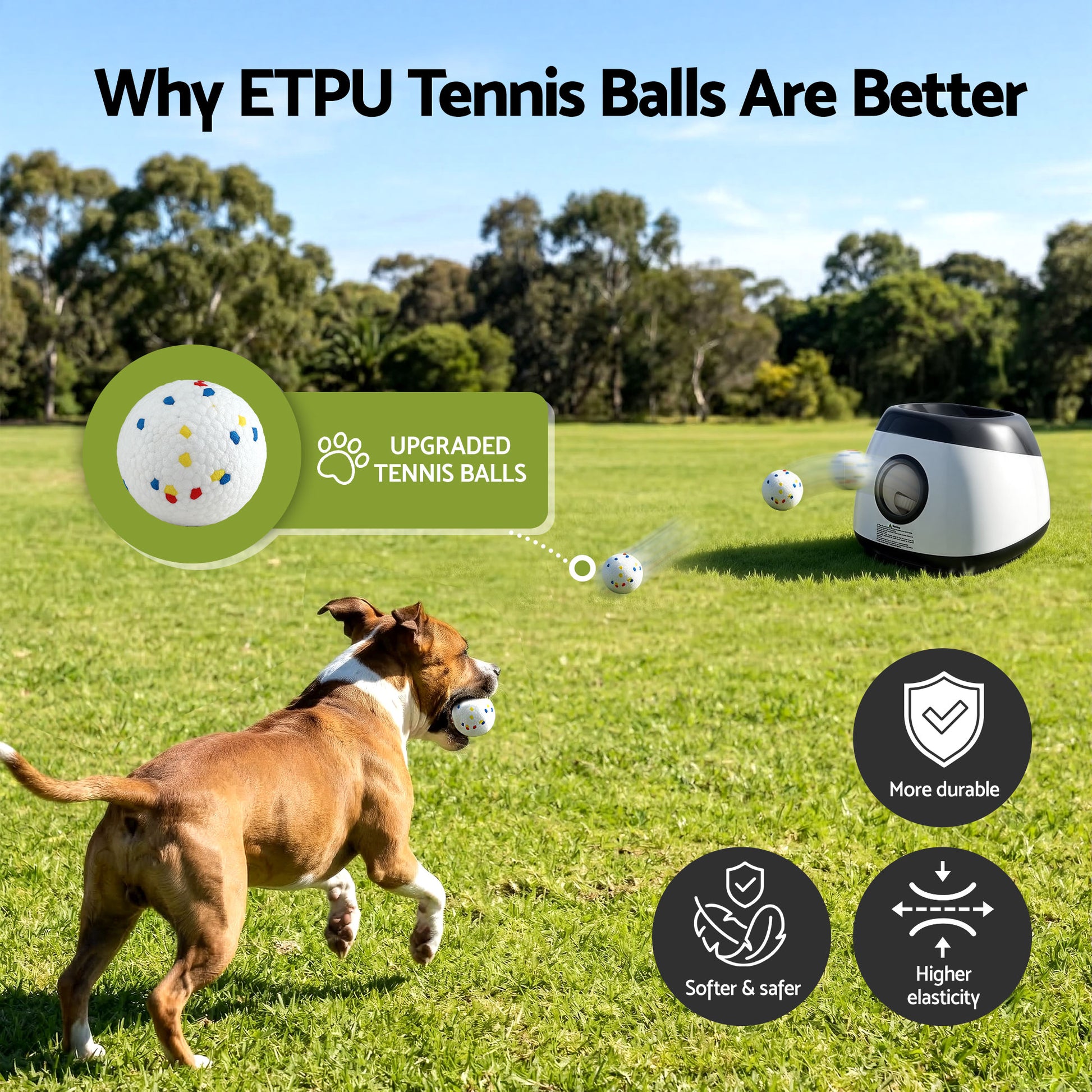 PET-DOG-6BALL-22M-GR-202603181836-05.jpg