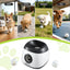 PET-DOG-6BALL-22M-GR-202603181836-06.jpg