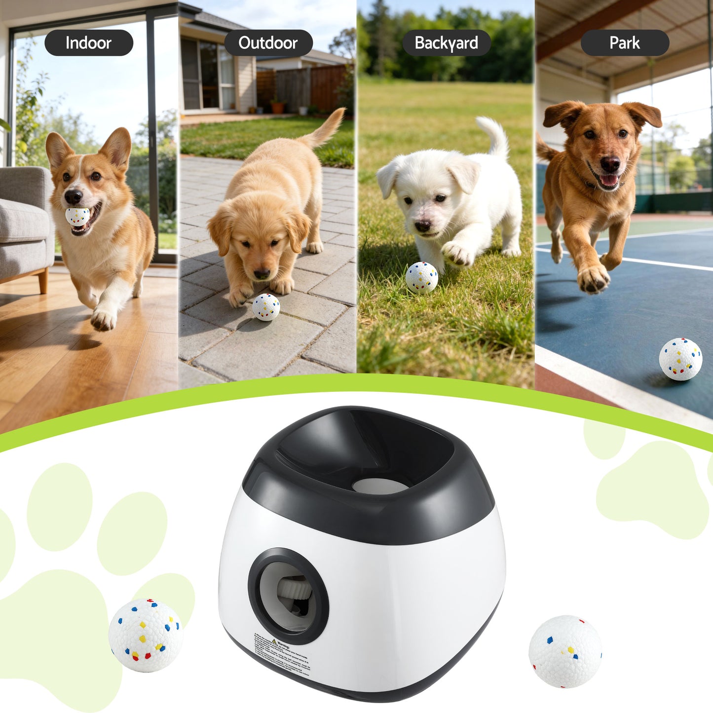 PET-DOG-6BALL-22M-GR-202603181836-06.jpg