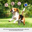 PET-DOG-6BALL-22M-GR-202603181836-07.jpg