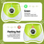 PET-DOG-6BALL-9M-GN-202603181836-04.jpg