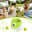 PET-DOG-6BALL-9M-GN-202603181836-06.jpg