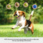 PET-DOG-6BALL-9M-GN-202603181836-07.jpg