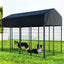 PET-DOG-CAGE-250-AB-189523-06.jpg