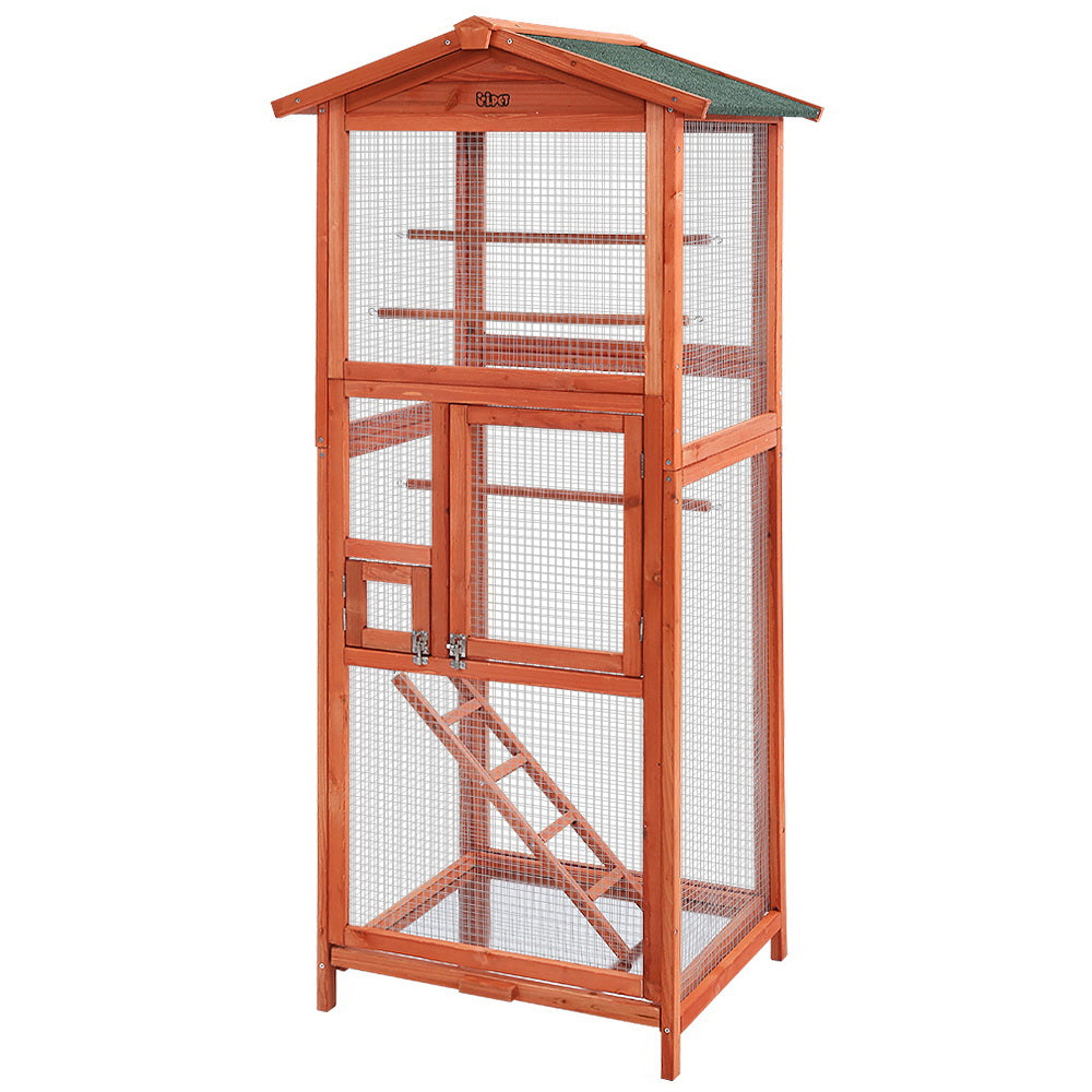 PET-GT-BIRD-WBC02-202502281804-02.jpg