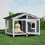 PET-GT-DH72-GR-139271-06.jpg