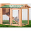 PET-GT-WOOD-R036-202502281812-05.jpg