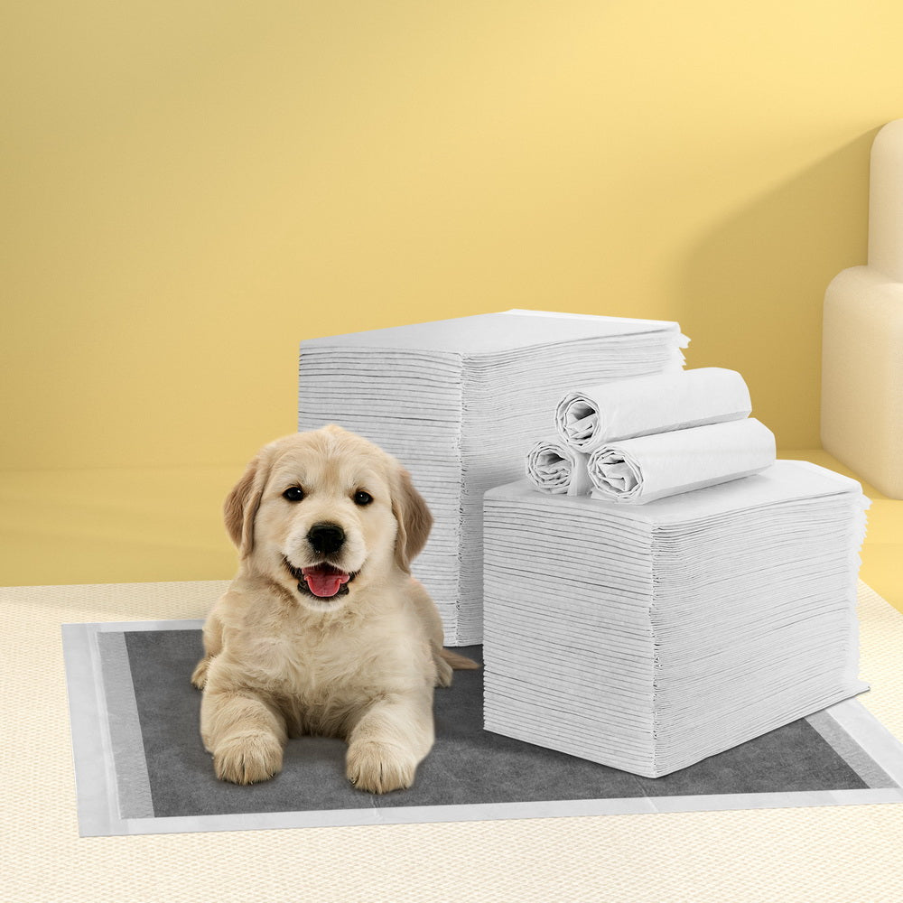 PET-PAD-GR-200-172469-06.jpg