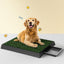 PET-PAD-GRASSX1-139238-06.jpg
