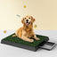 PET-PAD-GRASSX1-139238-06.jpg