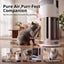 PET-PURI-SCRATCH01-WH-06.jpg