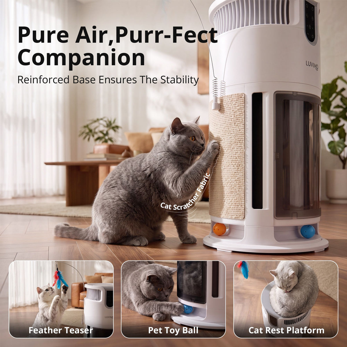 PET-PURI-SCRATCH01-WH-06.jpg