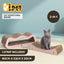 PET-SCRATCH-60-PK-167869-00.jpg