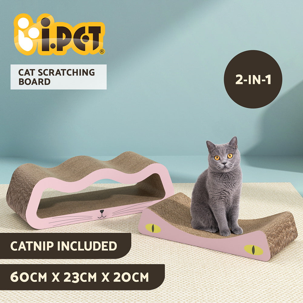 PET-SCRATCH-60-PK-167869-00.jpg