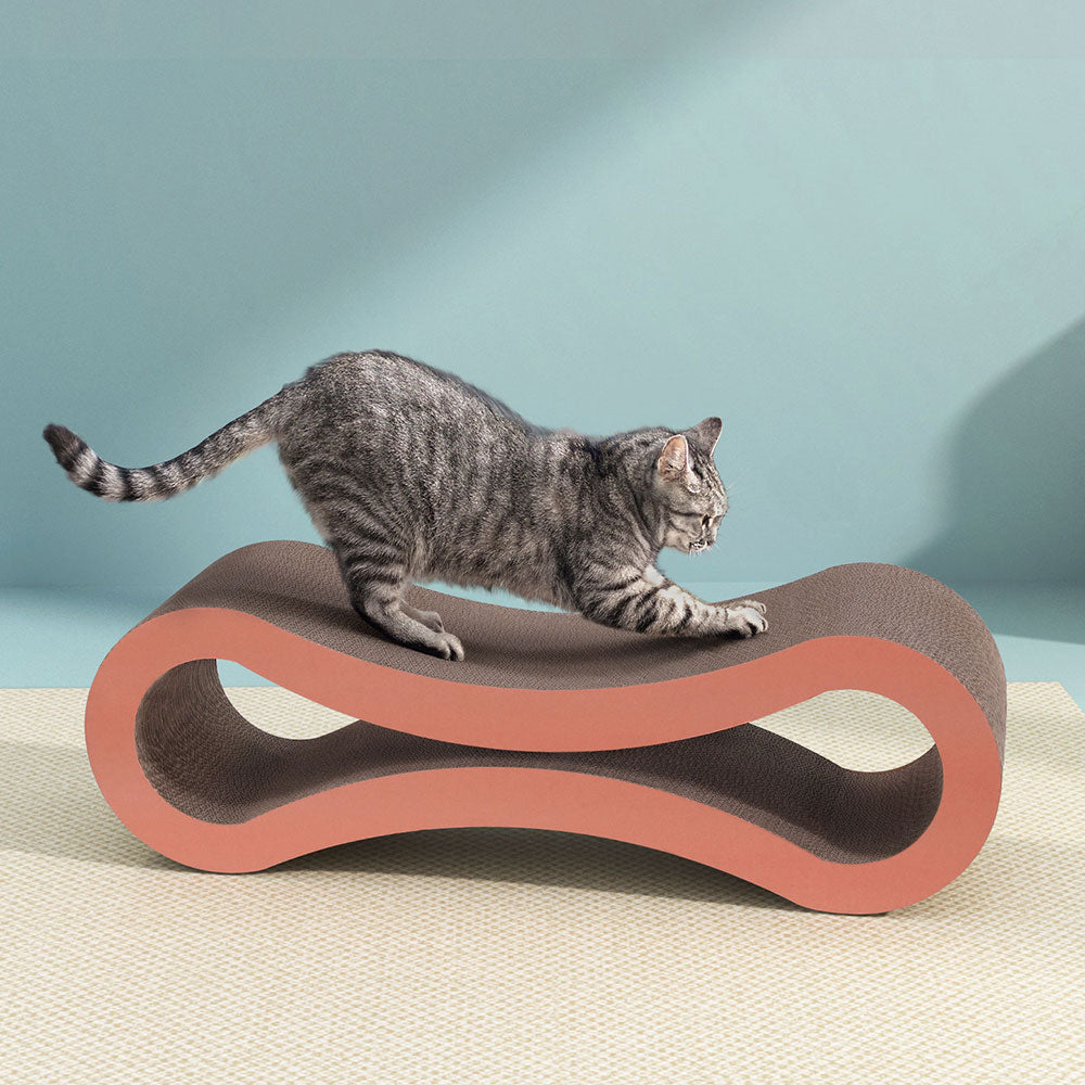 PET-SCRATCH-86-BR-167867-05.jpg