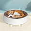 PET-SCRATCH-ROUND41-BR-167866-05.jpg