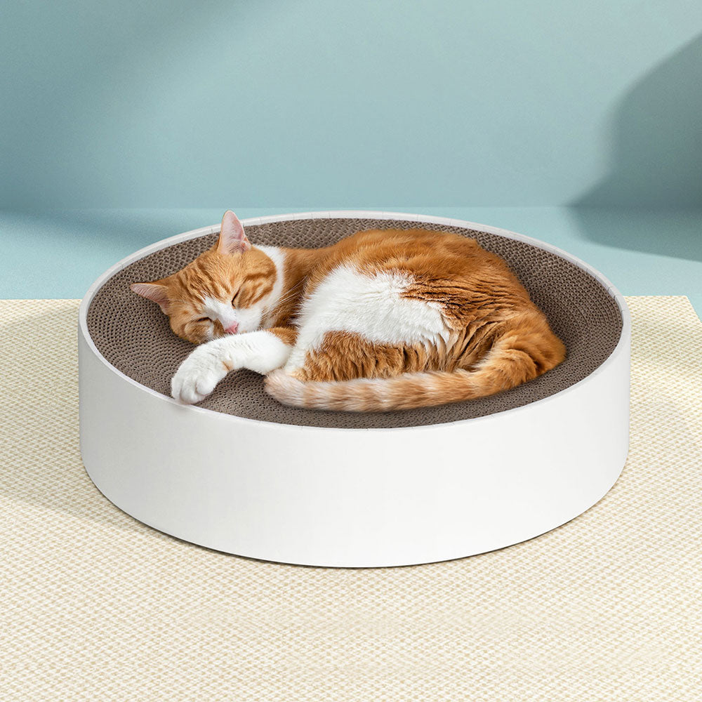 PET-SCRATCH-ROUND41-BR-167866-05.jpg