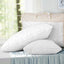 PILLOW-DFD-WALLX2-202502281434-00.jpg