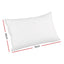 PILLOW-DFD-WALLX2-202502281434-01.jpg