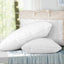 PILLOW-GOOSE-WALLX2-202502281434-00.jpg