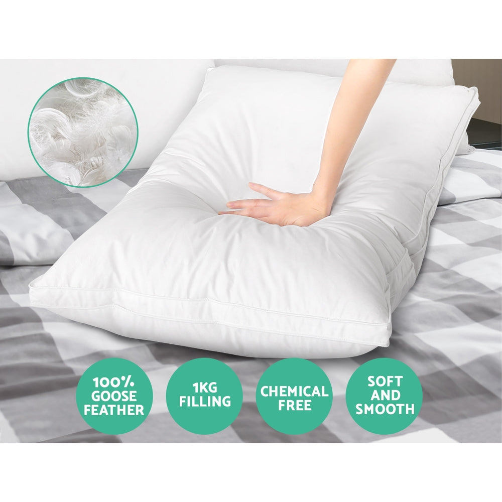 PILLOW-GOOSE-WALLX2-202502281434-05.jpg