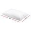 PILLOW-GOOSE-X2-202502281434-01.jpg