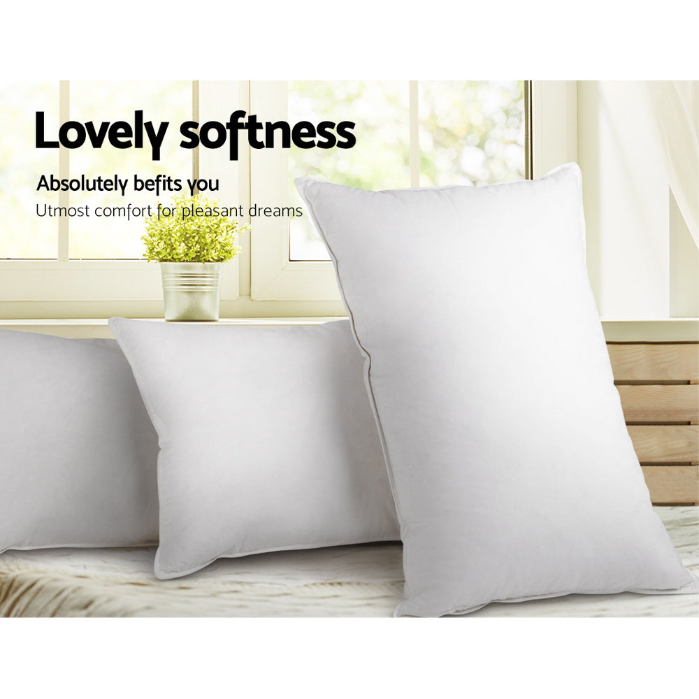 PILLOW-GOOSE-X2-202502281434-03.jpg