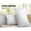PILLOW-GOOSE-X2-202502281434-03.jpg