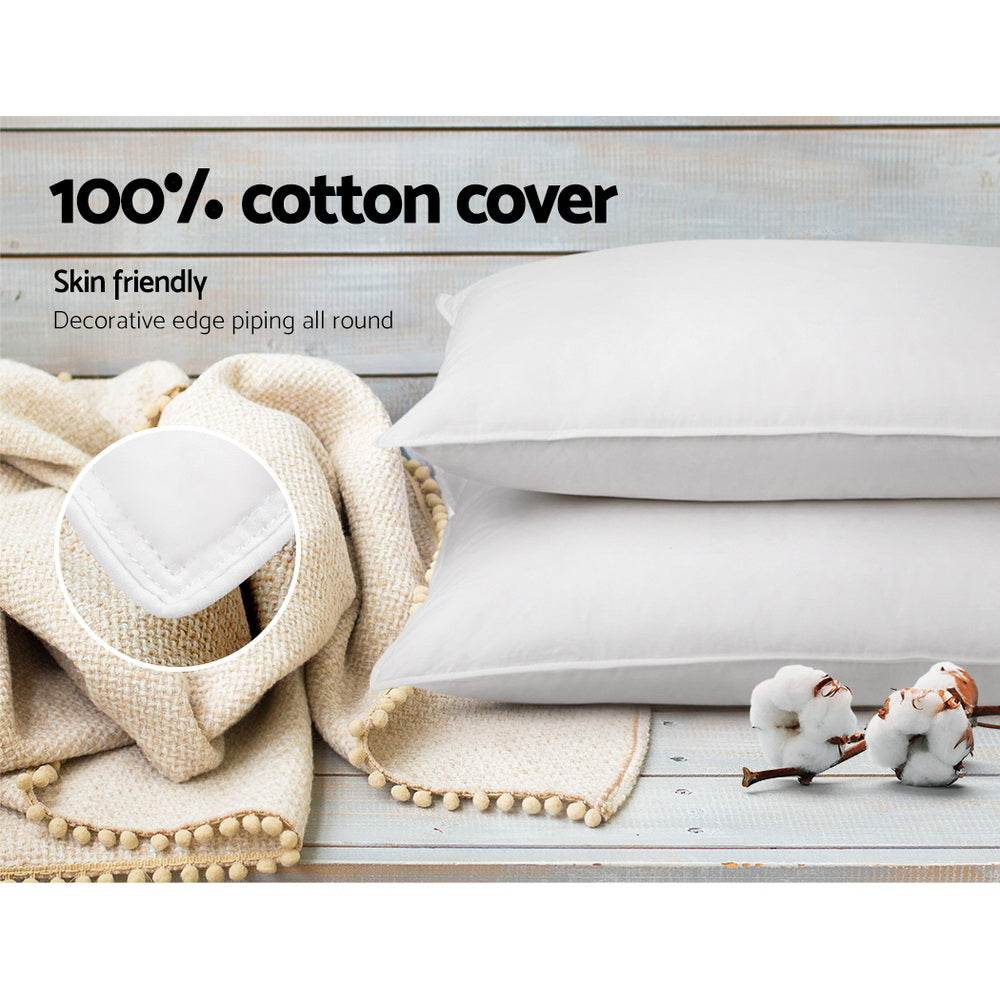 PILLOW-GOOSE-X2-202502281434-04.jpg