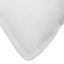 PILLOW-GOOSE-X2-202502281434-06.jpg