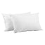PILLOW-GOOSE-X2-202502281434-07.jpg