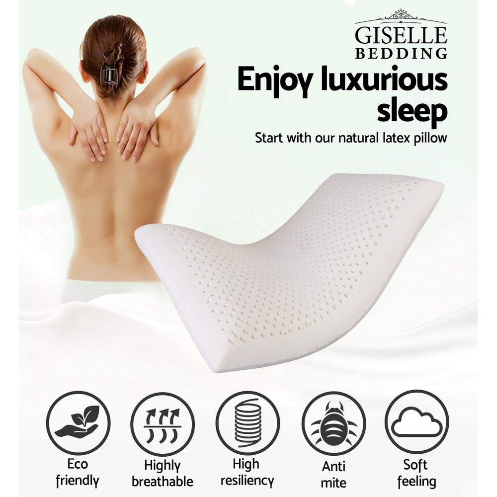 PILLOW-LT-SHED-X2-202502281436-02.jpg