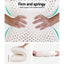 PILLOW-LT-SHED-X2-202502281436-03.jpg