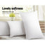 PILLOW-MICRO-2M2F-K-202502281438-04.jpg