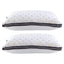 PILLOW-MICRO-4873X2-215086-02.jpg