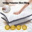 PILLOW-MICRO-4873X2-215086-03.jpg
