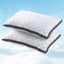 PILLOW-MICRO-4873X2-215086-06.jpg