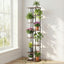 PS-8T-WOOD-DW-202512051800-00.jpg