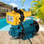PUMP-QB60-YEL-202502281956-00.jpg