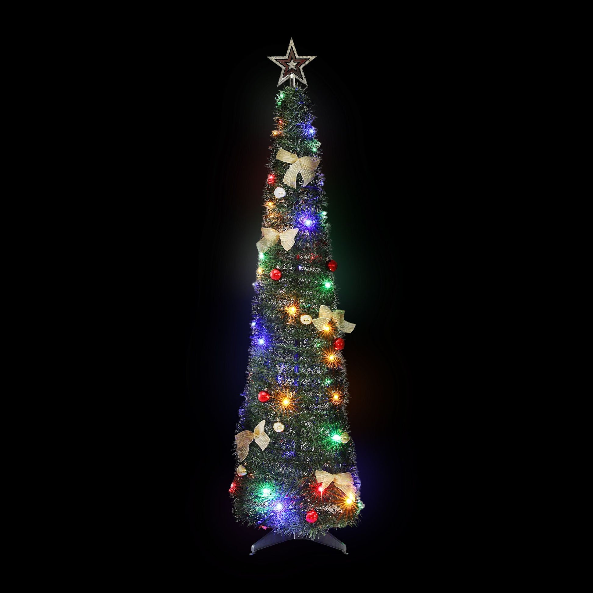 PUT-XMAS-5IN-3-00.jpg