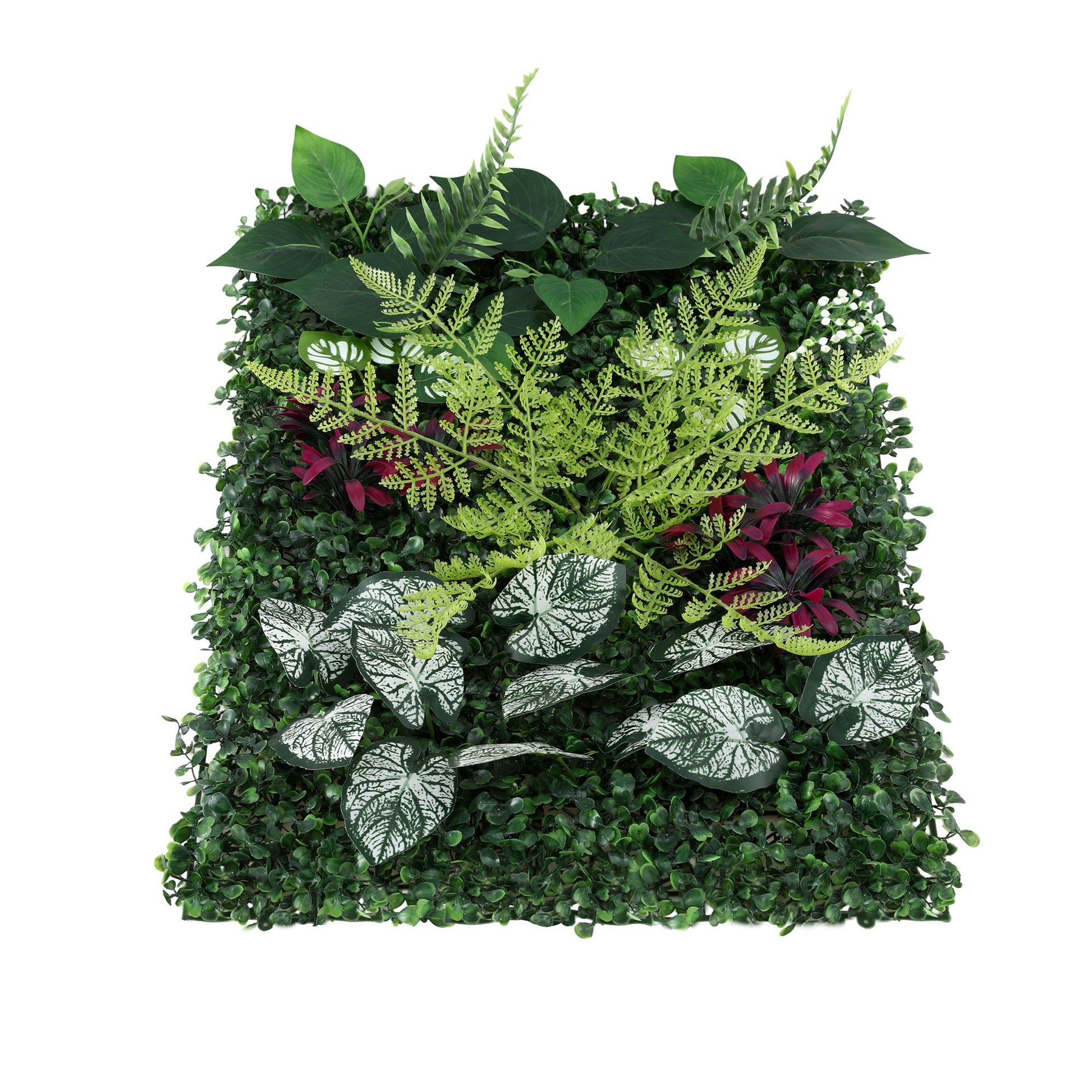 PWP-40X60-RD-4X-02.jpg