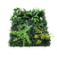PWP-40X60-YE-4X-02.jpg