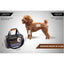 Pet Travel Bag Dog Cat Puppy Portable Foldable Carrier Small Shoulder Orange Cage