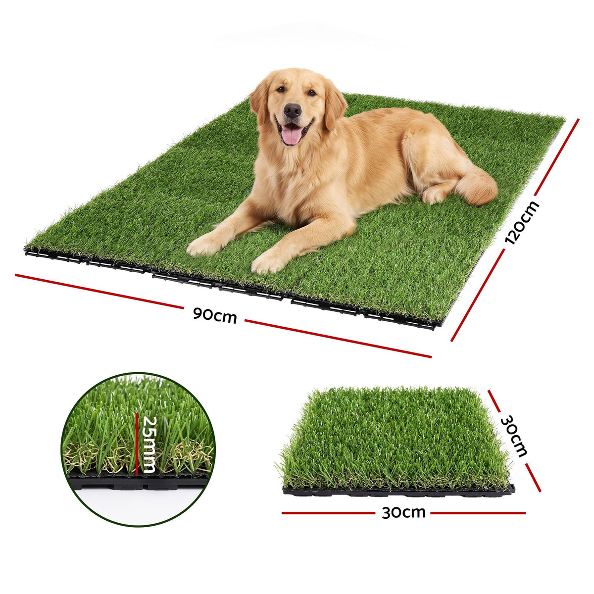 AR-GRASS-27-30CM-12P-01.jpg