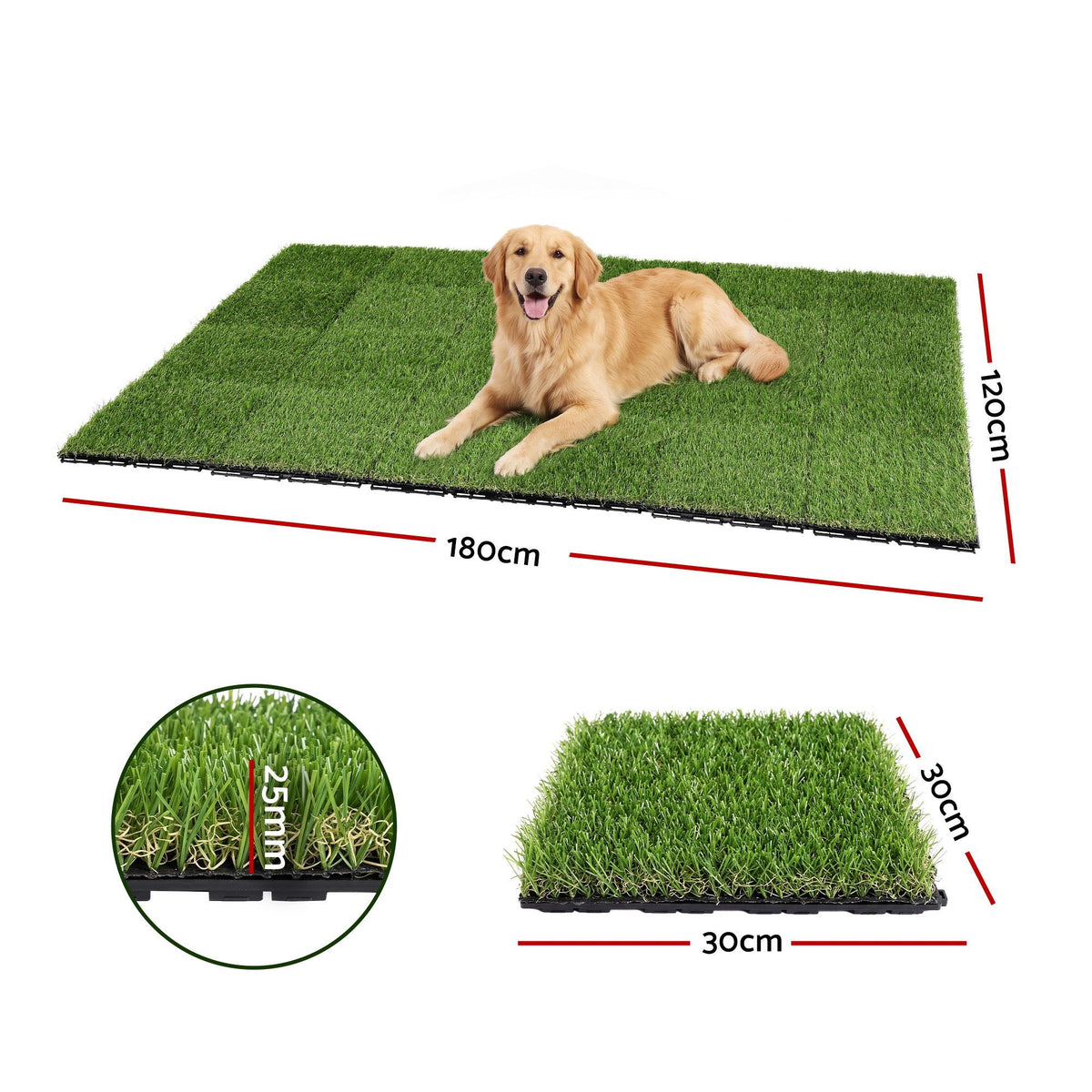 AR-GRASS-27-30CM-24P-01.jpg